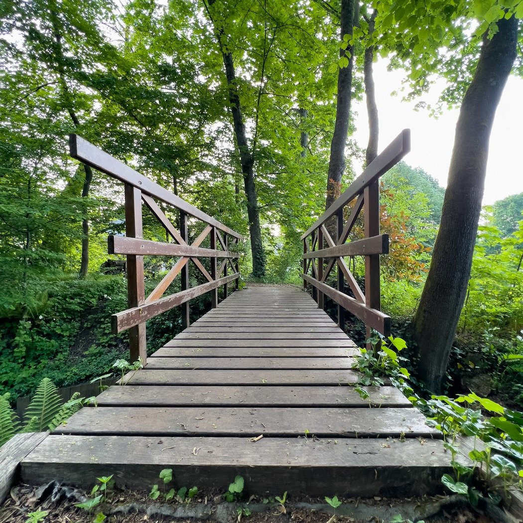 Parc Casimir Davaine 1